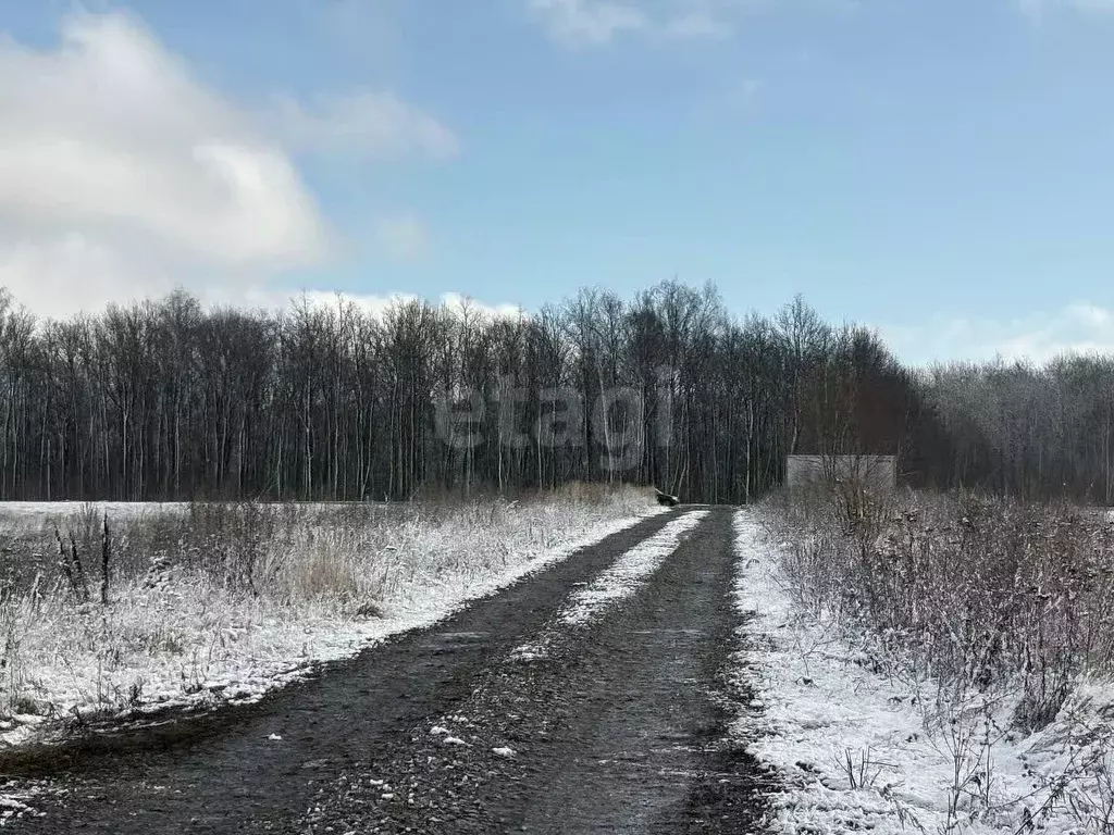 Участок в Мордовия, Саранск Восход садоводческое товарищество,  (4.0 ... - Фото 1