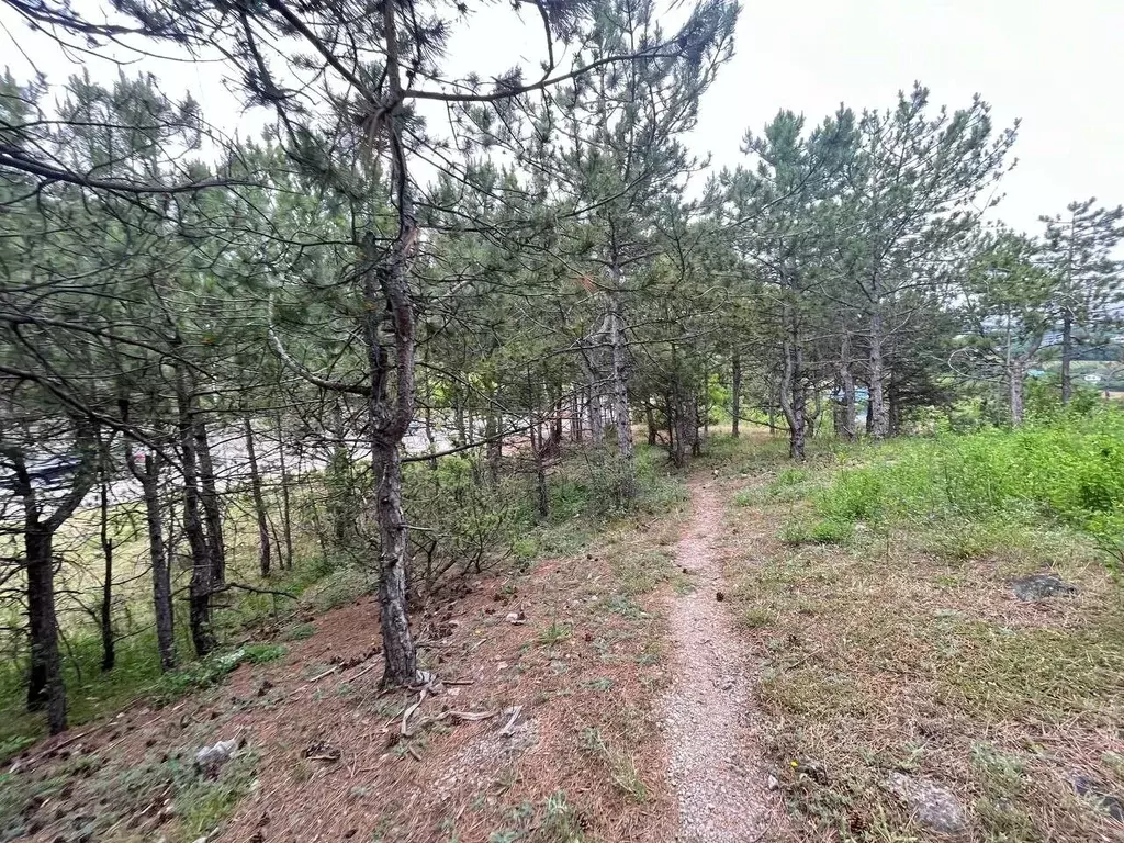 Участок в Крым, Ялта городской округ, Кореиз пгт ул. Ю.Б. Османова, 6 ... - Фото 0