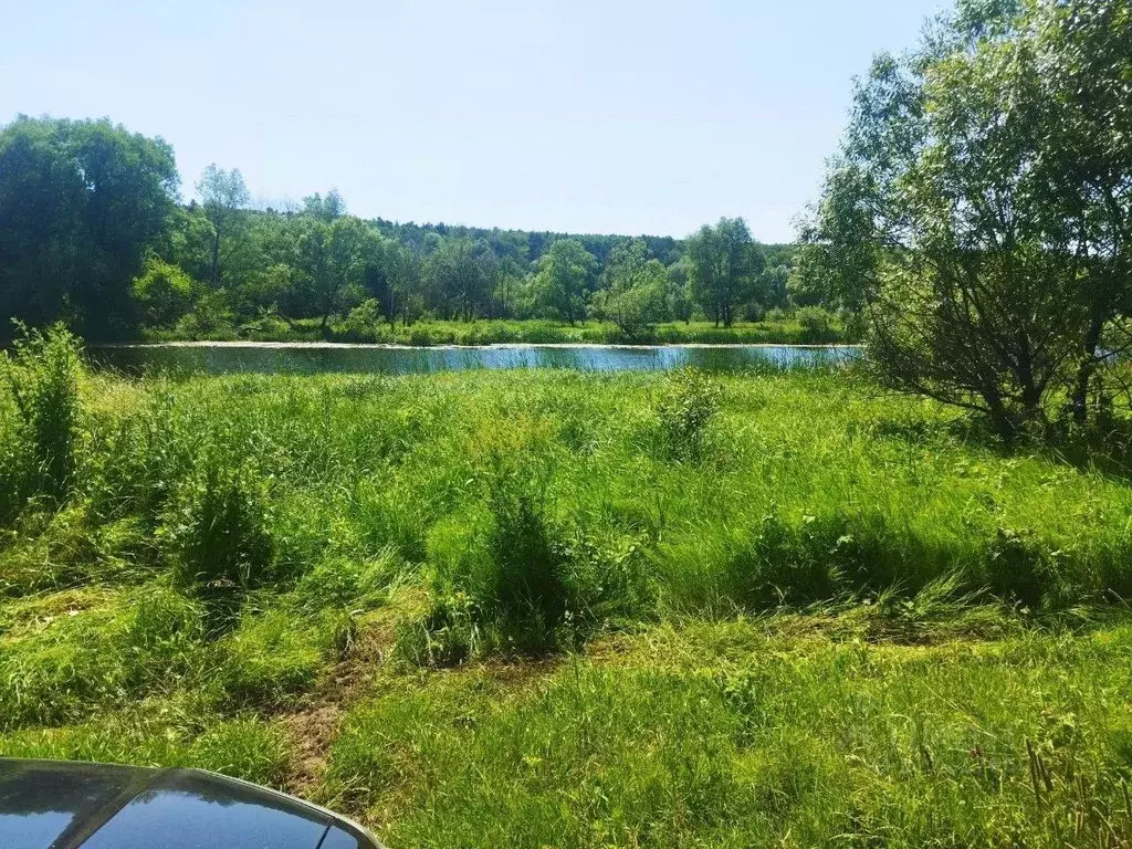 Участок в Тульская область, Ясногорский район, Иваньковское с/пос, д. ... - Фото 2