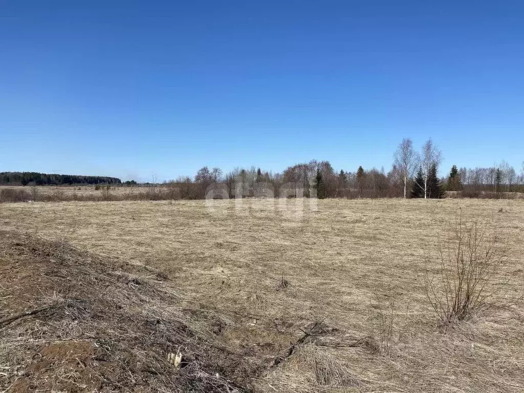 Участок в Архангельская область, Котласский муниципальный округ, д. ... - Фото 1