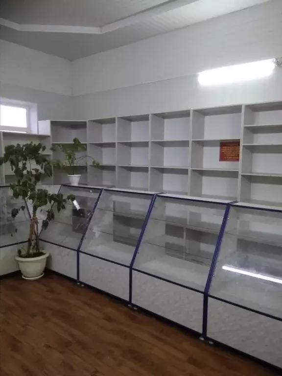 Торговая площадь в Краснодарский край, Гулькевичский район, Венцы-Заря ... - Фото 1