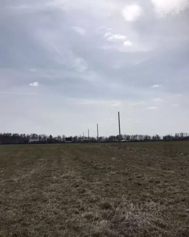 Участок в Владимирская область, Петушинский муниципальный округ, д. ... - Фото 2