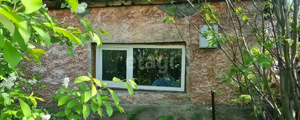 Дом в Алтай, Горно-Алтайск  (25 м) - Фото 0