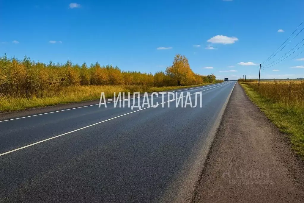 Участок в Московская область, Домодедово городской округ, д. Кучино, ... - Фото 1