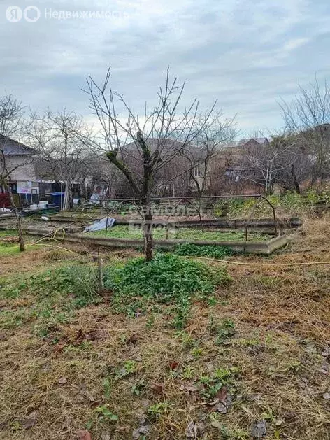 Участок в Краснодарский край, городской округ Сочи, село Высокое, ... - Фото 1