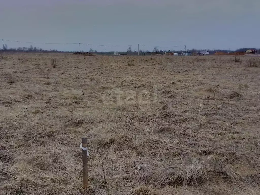 Участок в Псковская область, Псковский район, Завеличенская волость, ... - Фото 1