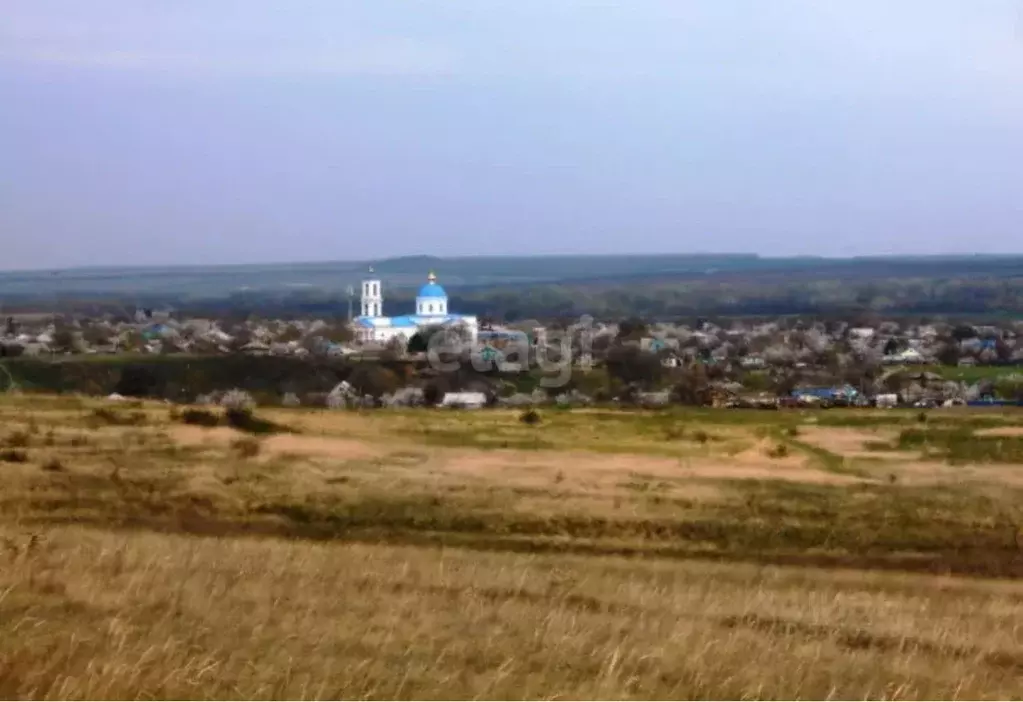 Участок в Ростовская область, Каменский район, Калитвенская ст-ца ул. ... - Фото 0