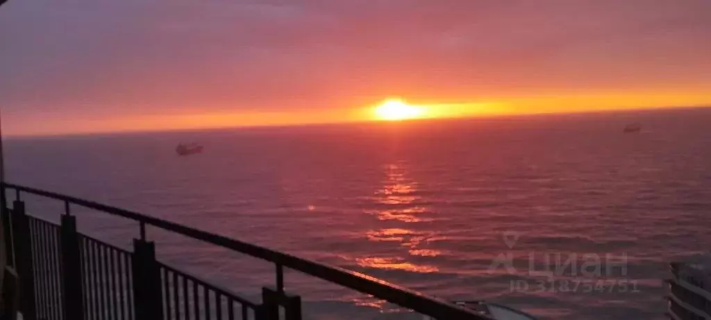 2-к кв. Крым, Ялта муниципальный округ, Ливадия пгт ул. Виноградная, ... - Фото 1