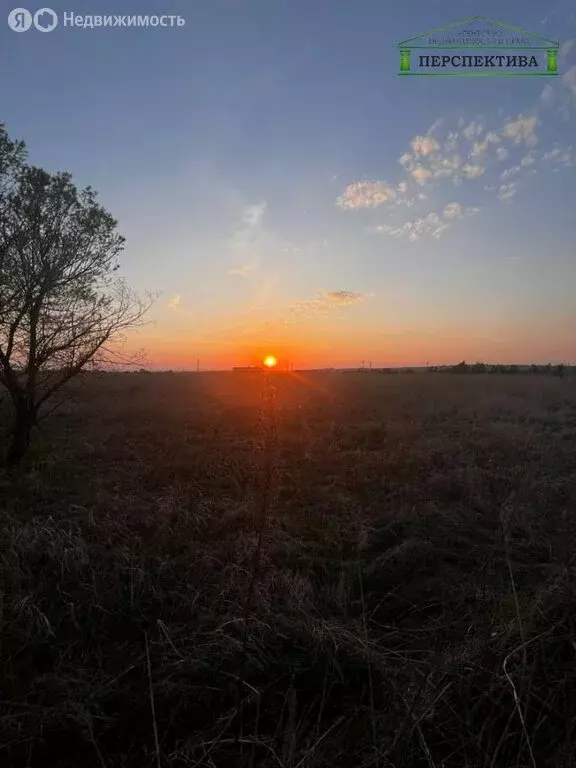 Участок в Надеждинский район, посёлок Зима Южная, Амурская улица (3 м) - Фото 2