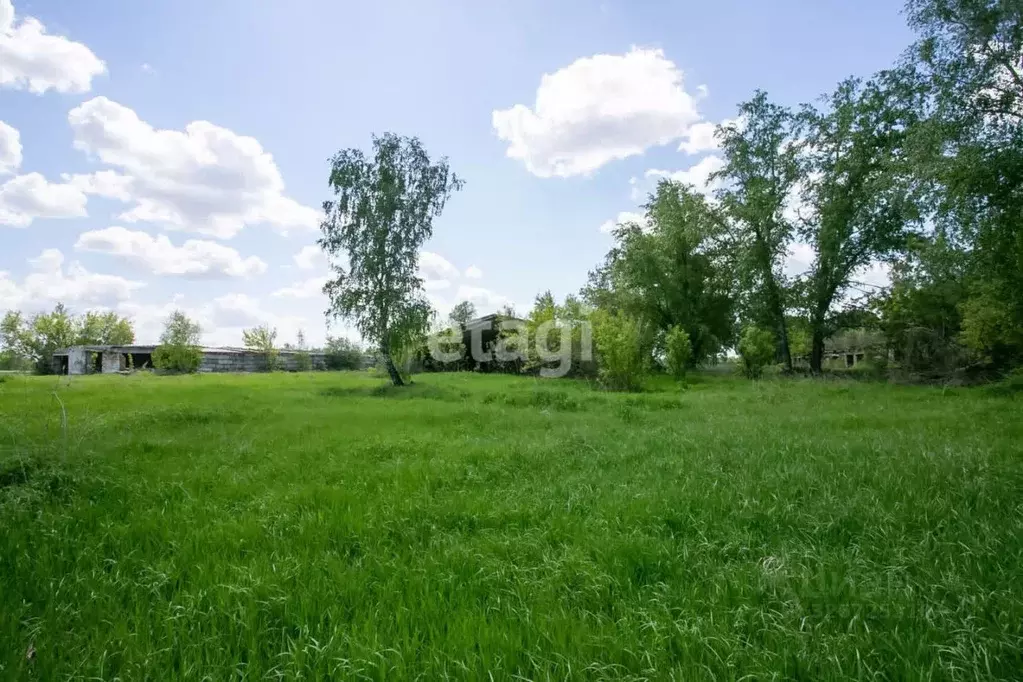 Участок в Новосибирская область, Искитимский район, Совхозный ... - Фото 1