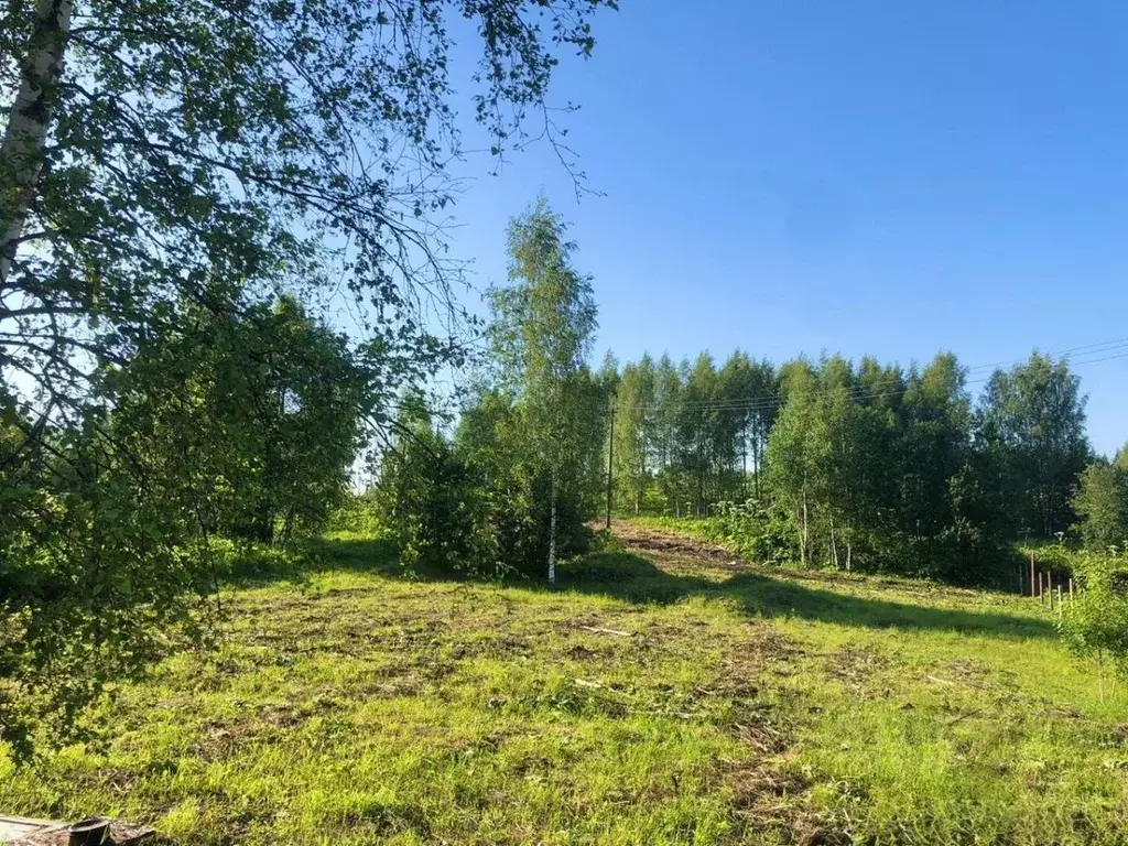 Участок в Новгородская область, Валдай ул. Учхоз (14.0 сот.) - Фото 2