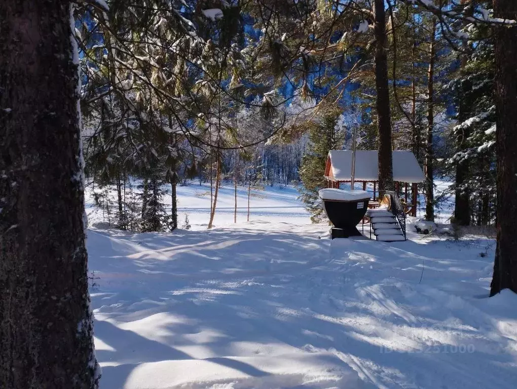 Дом в Алтай, Турочакский район, с. Артыбаш ул. Юртокская, 52 (73 м) - Фото 1