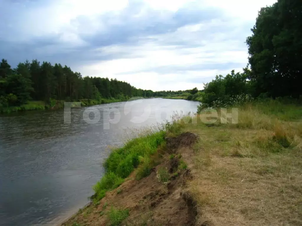 Продается участок в с. Богослово - Фото 1