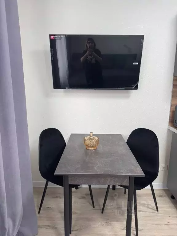 Студия Московская область, Люберцы ул. Солнечная, 6 (25.0 м) - Фото 2