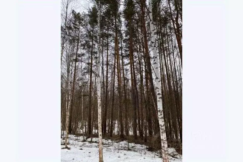 Дом в Тульская область, Алексинский район, д. Айдарово, Айдаровские ... - Фото 1