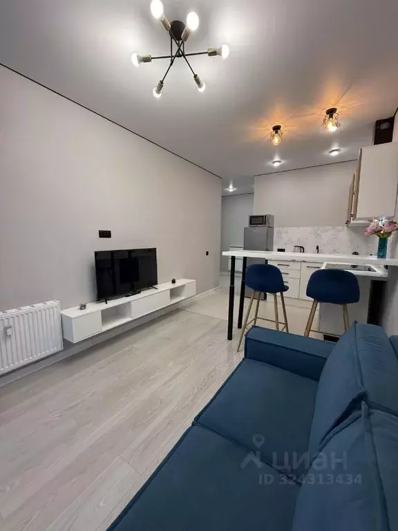 1-к кв. Московская область, Одинцовский городской округ, с. ... - Фото 2