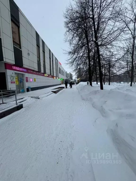 Помещение свободного назначения в Татарстан, Набережные Челны просп. ... - Фото 1