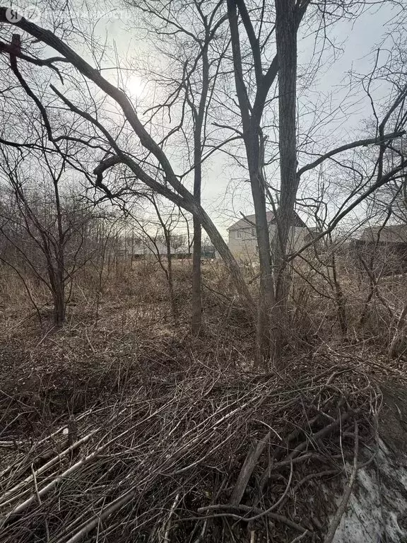 Участок в село Кневичи (7.7999997 м) - Фото 2