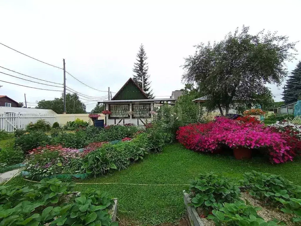 Дом в Камчатский край, Елизово Дубрава-1 ПААТО Камчатстроя СНТ, 47 (24 ... - Фото 1