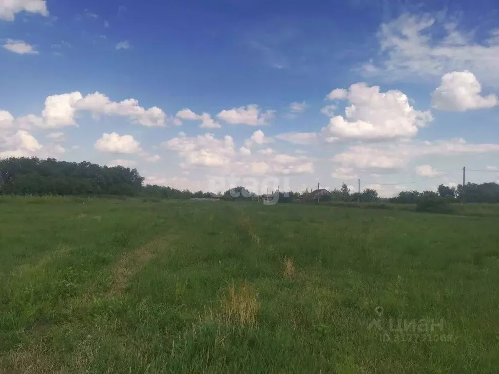Участок в Воронежская область, Новоусманский район, ... - Фото 1