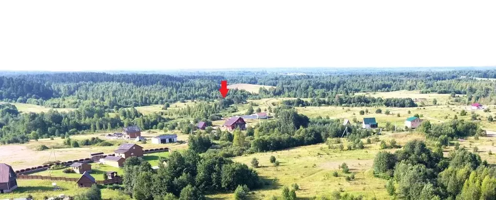 Участок в Тверская область, Торопецкий муниципальный округ  (12.0 ... - Фото 0