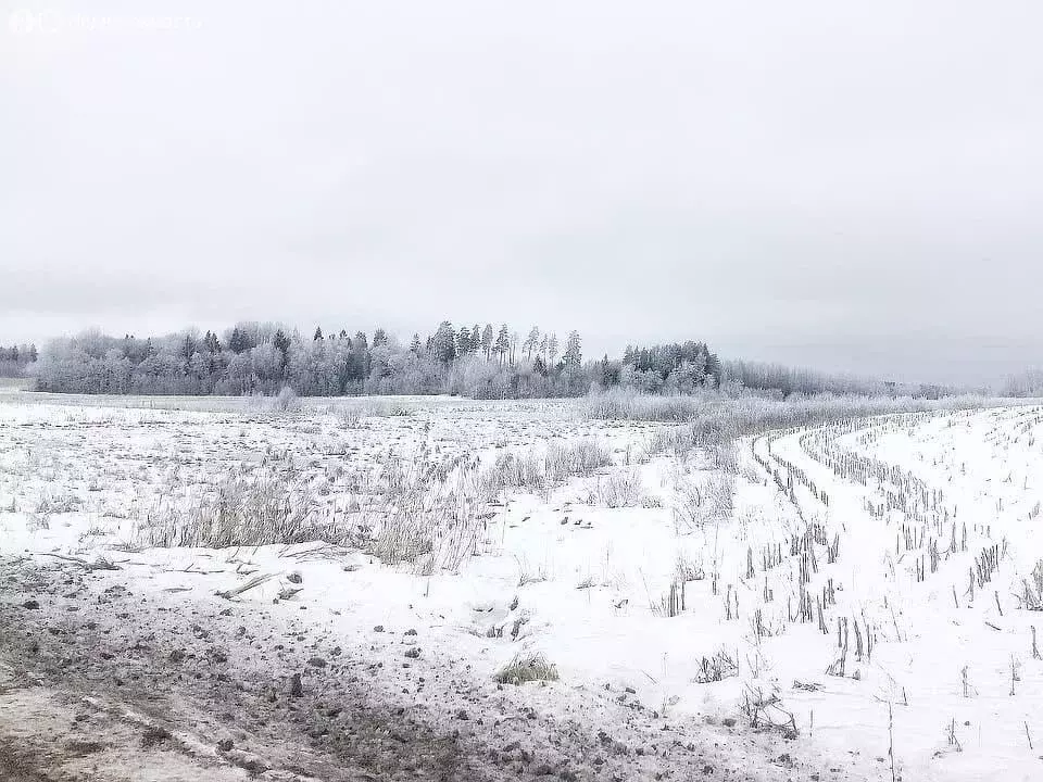 Участок в Вологодский муниципальный округ, деревня Коренево (15.13 м) - Фото 0