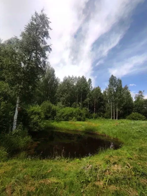 Участок в Ленинградская область, Кировский район, Мгинское городское ... - Фото 0