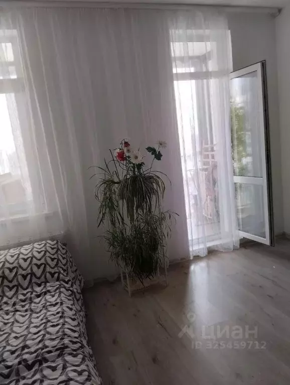 Студия Ленинградская область, Всеволожский район, пос. Бугры бул. ... - Фото 2