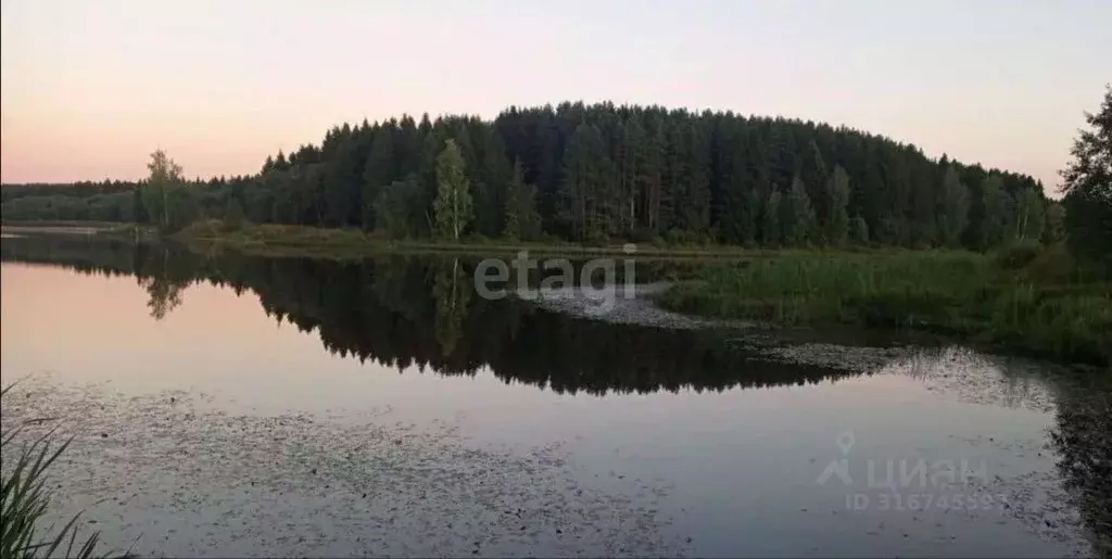 Участок в Ярославская область, Даниловское с/пос, д. Конищево ул. ... - Фото 1