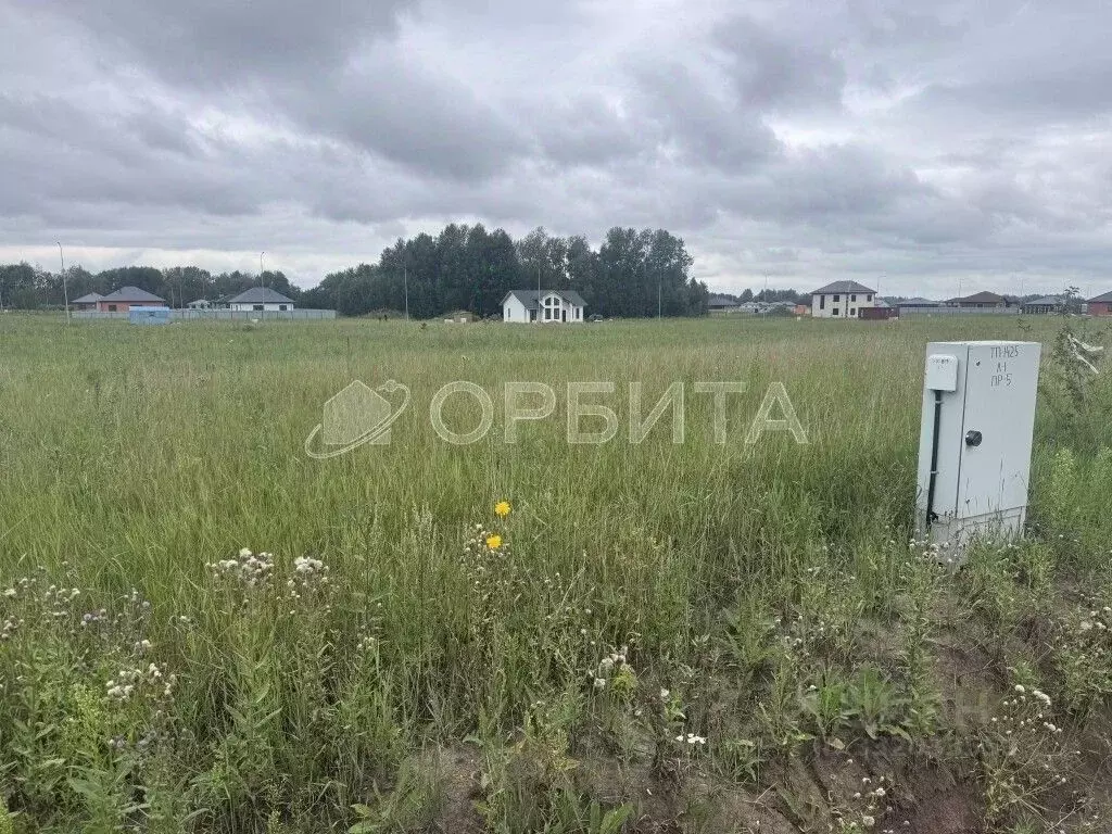 Участок в Тюменская область, Тюменский муниципальный округ, с. Каменка ... - Фото 1