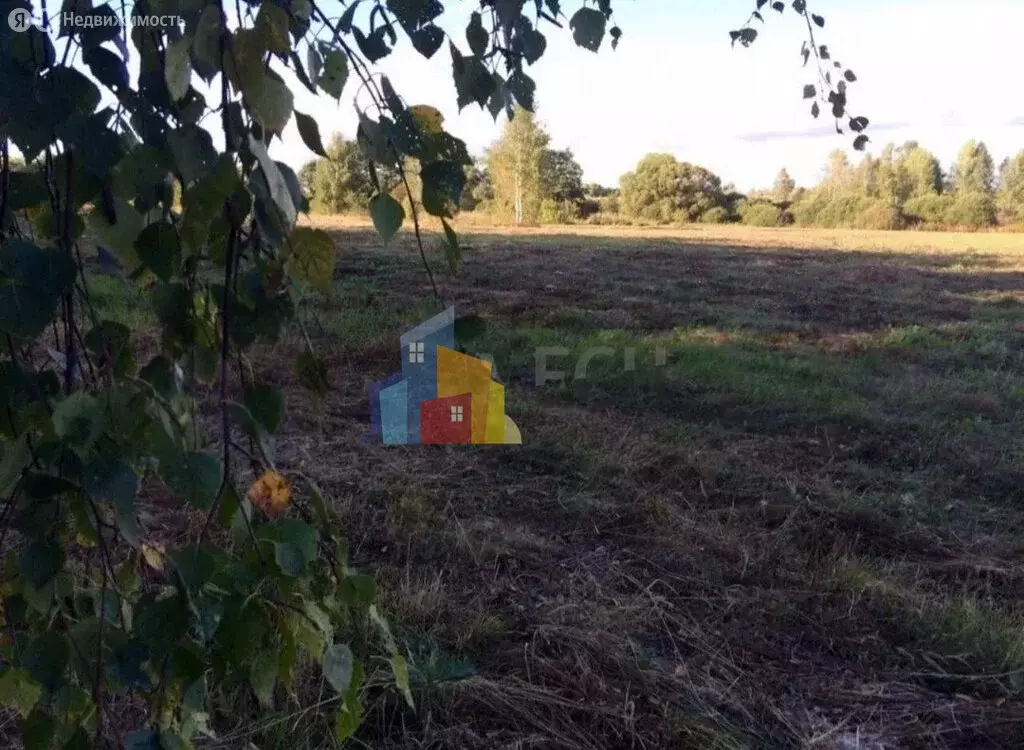 Участок в Тульская область, городской округ Тула, село Борщевка, 33 ... - Фото 1