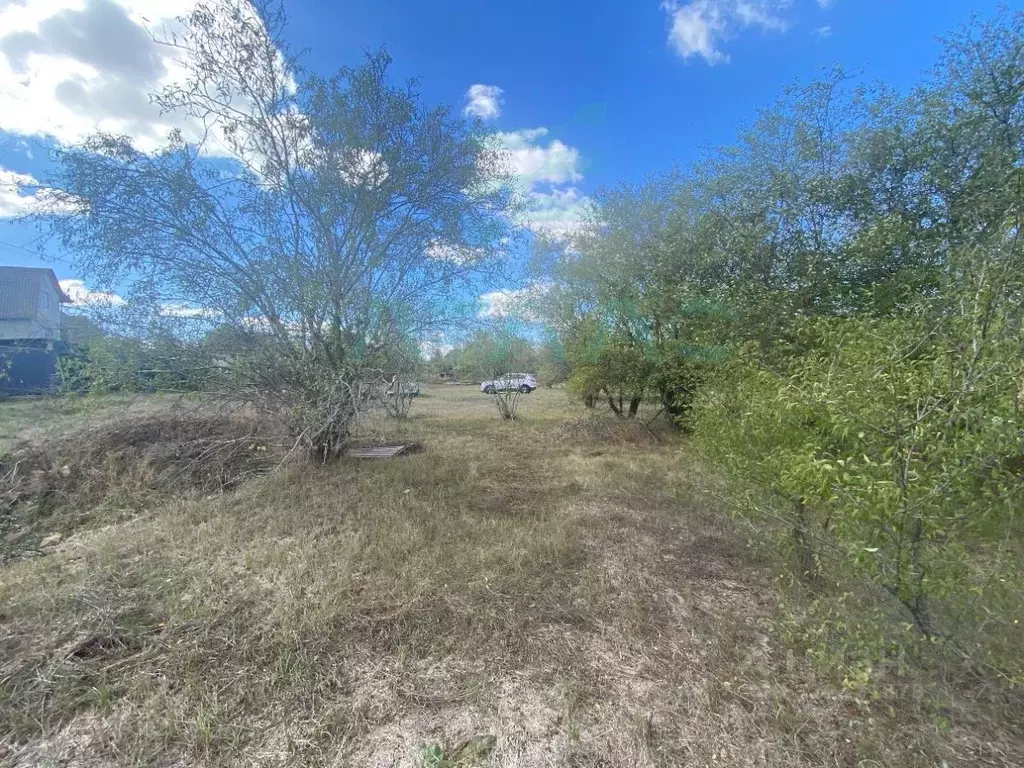 Участок в Крым, Симферопольский район, Перовское с/пос, Рино СТ 13 ... - Фото 1