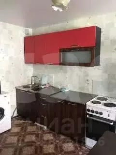 1-к кв. Тюменская область, Тюмень ул. 50 лет Октября, 74 (45.0 м) - Фото 2