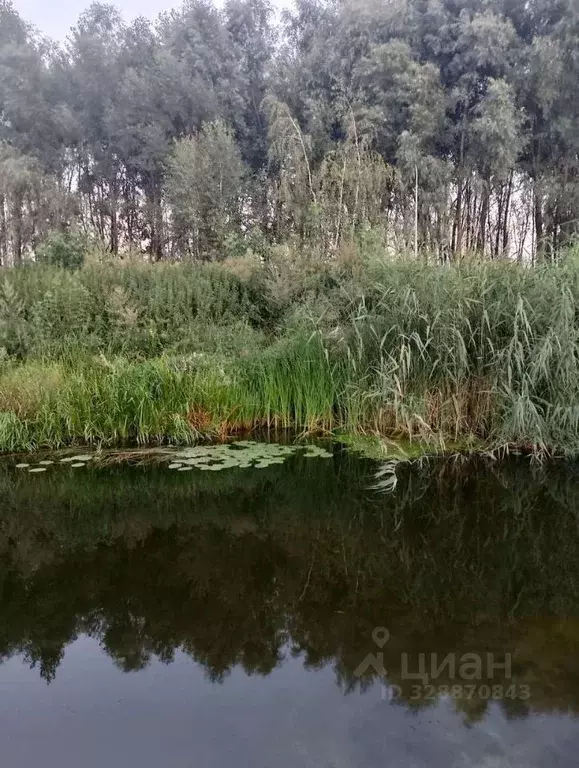 Участок в Воронежская область, Воронеж пер. Речной, 25 (8.0 сот.) - Фото 1