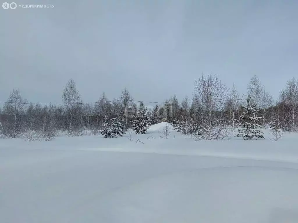 Участок в Каслинский район, Тюбукское сельское поселение, посёлок ... - Фото 0