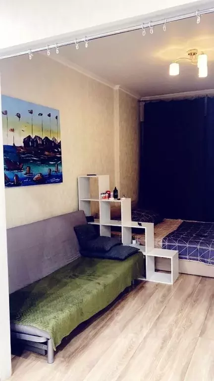 1-к кв. Московская область, Балашиха 1 Мая мкр, 4К1 (33.6 м) - Фото 1