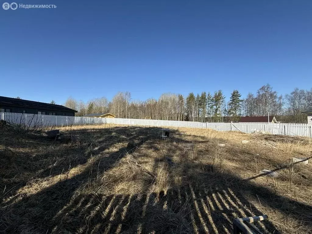 Участок в Приозерский район, Раздольевское сельское поселение, деревня ... - Фото 2