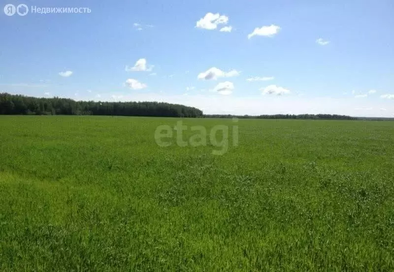 Участок в Ярославская область, Любимский муниципальный округ, деревня ... - Фото 1