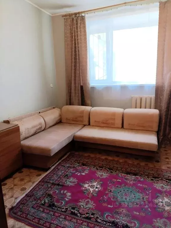 Студия Ульяновская область, Ульяновск ул. Пушкарева, 14 (20.0 м) - Фото 1
