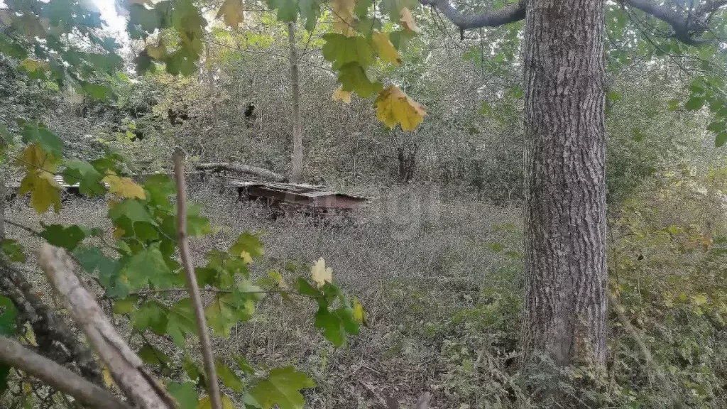 Участок в Ставропольский край, Ставрополь Дружба-2 садовое ... - Фото 2