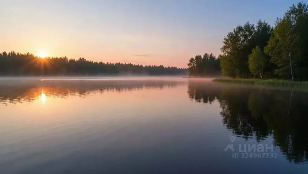Участок в Тверская область, Зубцовский муниципальный округ  (38.0 ... - Фото 1