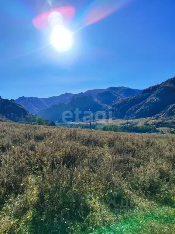 Участок в Алтай, Чемальский район, с. Еланда  (11.9 сот.) - Фото 1