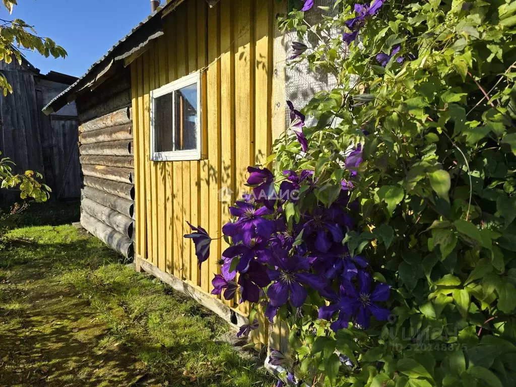 Дом в Карелия, Прионежский район, Заозерское с/пос, Березки СНТ  (42 ... - Фото 1