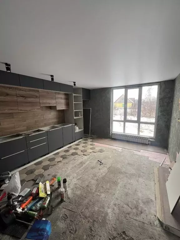 Дом в Омская область, Омск СОСН Горняк тер.,  (102 м) - Фото 2