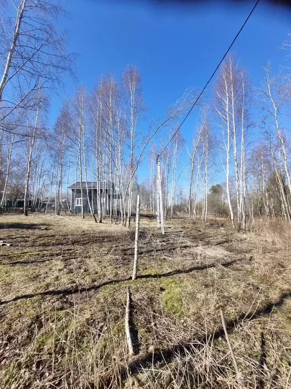 Участок 6,6 сот. (ИЖС) - Фото 0