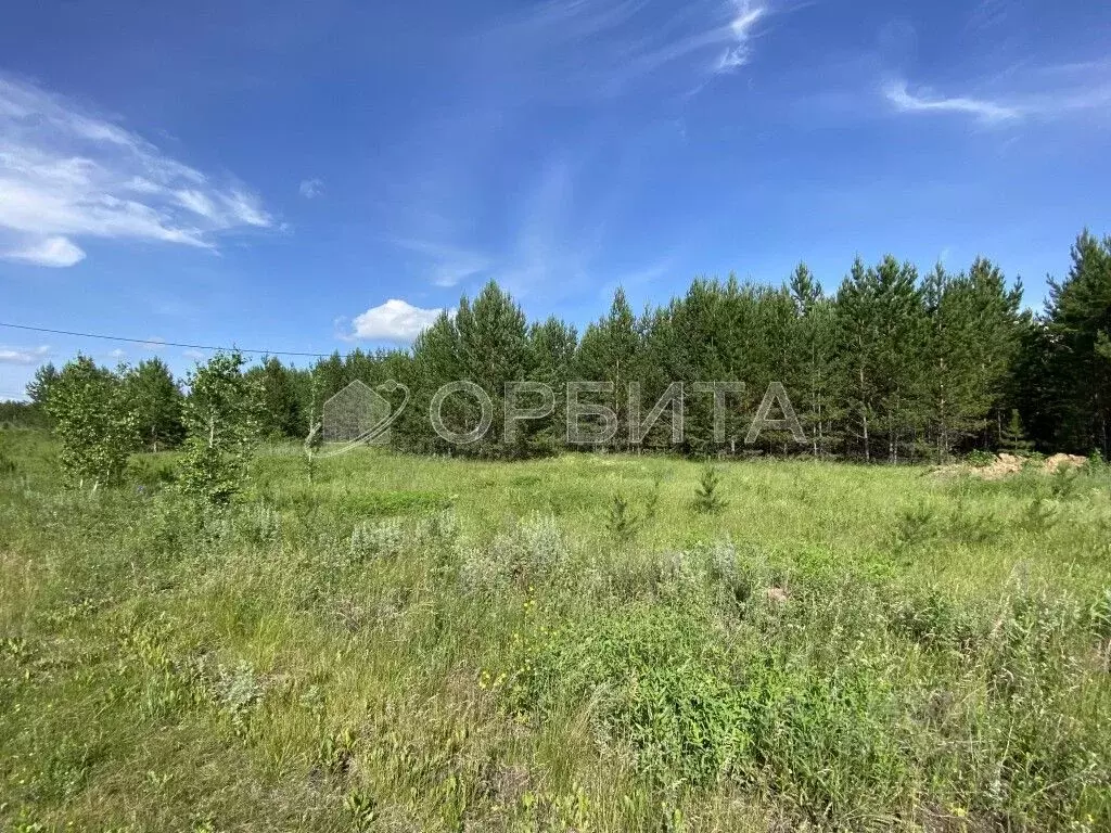Участок в Тюменская область, Тюменский муниципальный округ, д. ... - Фото 0