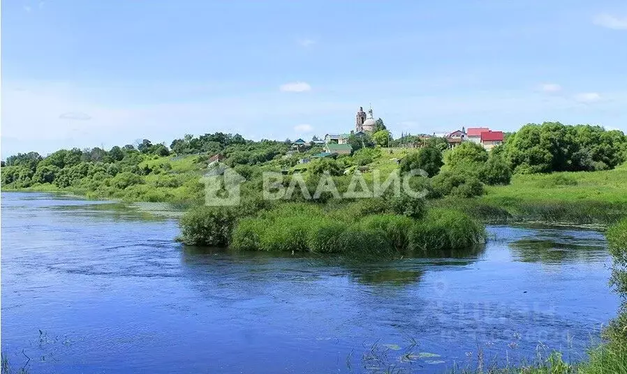 Участок в Владимирская область, Суздальский район, Павловское ... - Фото 1