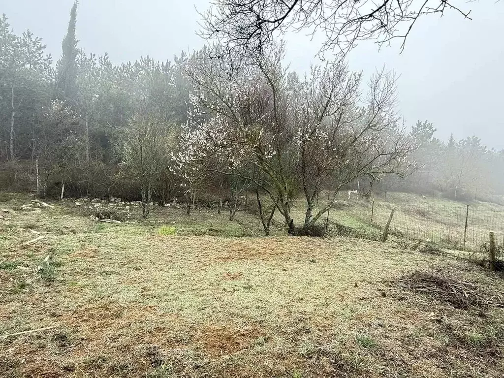 Участок в Севастополь Наука садоводческое товарищество, 2 (4.2 сот.) - Фото 1