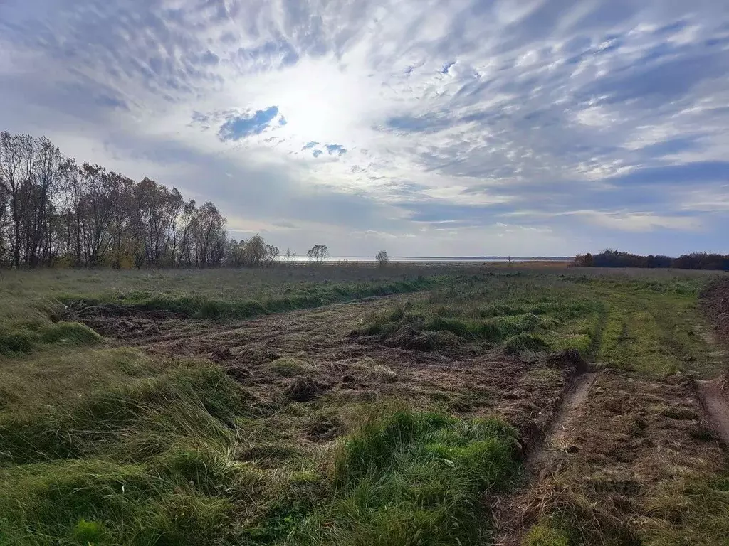 Участок в Новгородская область, Новгородский район, Борковское с/пос, ... - Фото 0