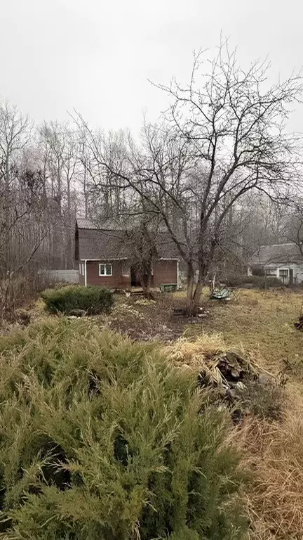 Дом в Московская область, Ступино городской округ, Химик СНТ 52 (71 м) - Фото 2